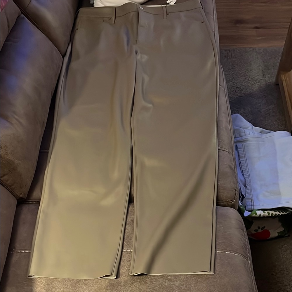 Express Women’s  Tan Pants (soft imitation leather)